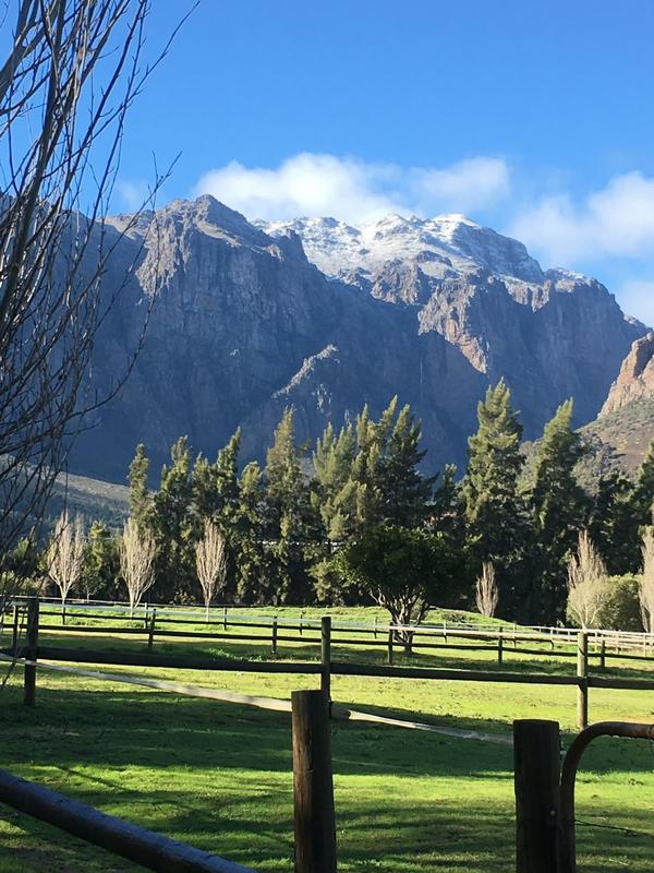 12 Bedroom Property for Sale in Paarl Western Cape